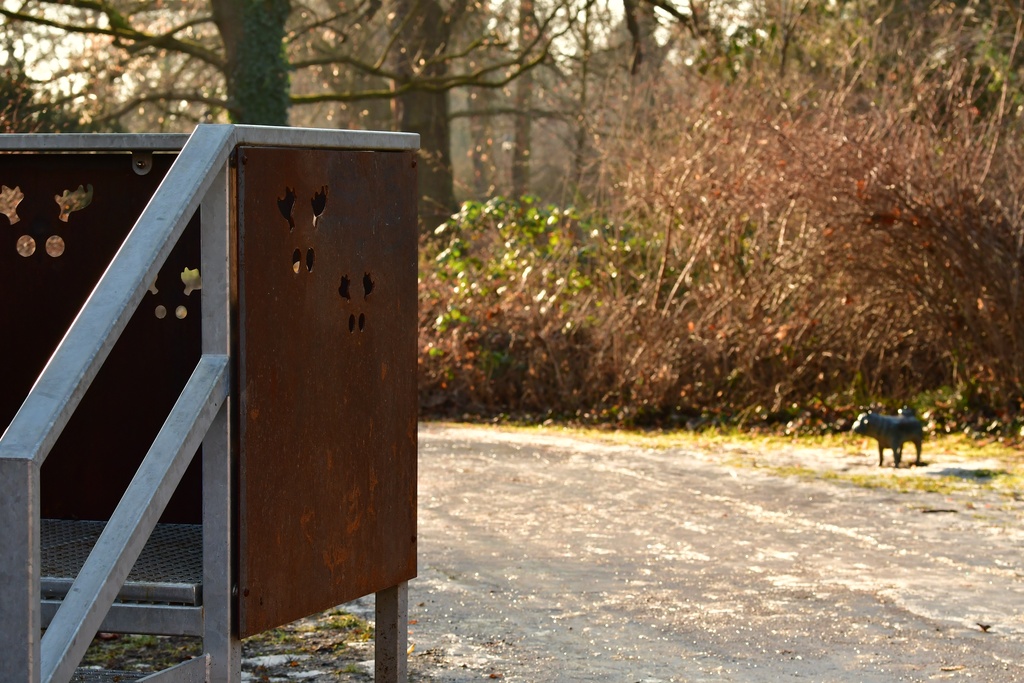 2026-01-08 Brandenburg an der Havel/Waldmöpse/DSC_2331.JPG